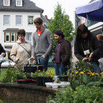 Pflanzenbörse statt Biomüll – Tauschbörse für Naturfreunde am 8. Mai
